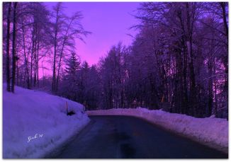 Snow_purple_small